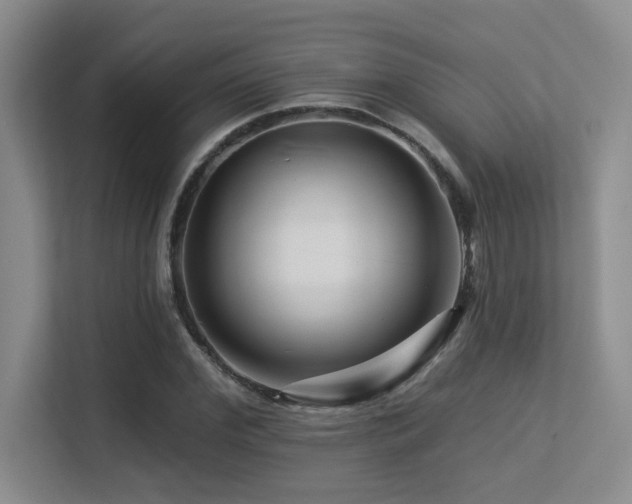 X0000113270972200909101516
