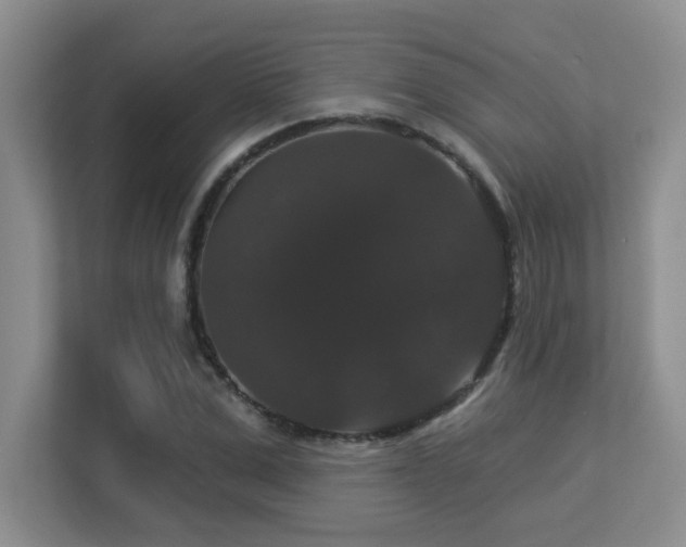 X0000113270975200909101516