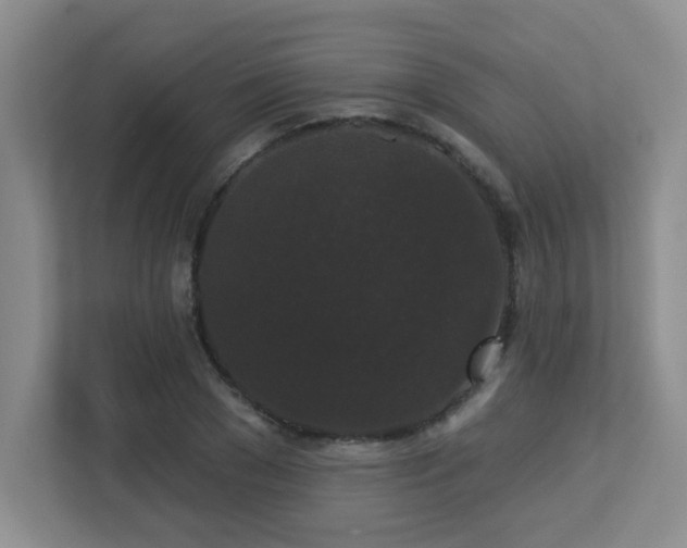 X0000113270977200909101516