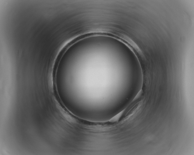 X0000113270980200909101515