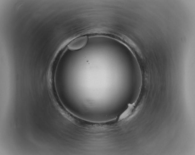 X0000113270981200909101515