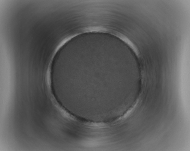 X0000113270983200909101515