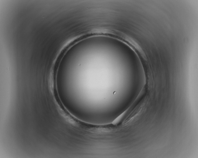 X0000113270984200909101515