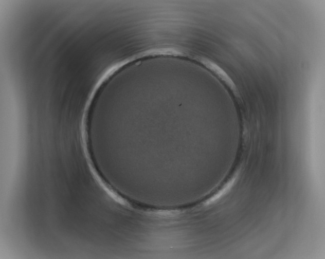 X0000113270989200909101515