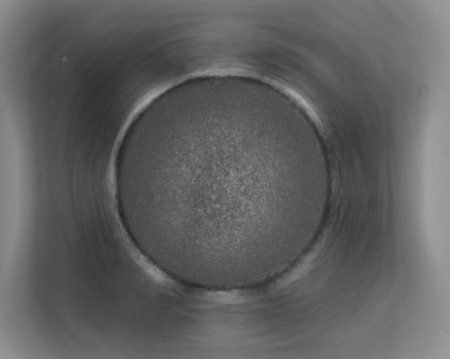 X0000113270990200909101515