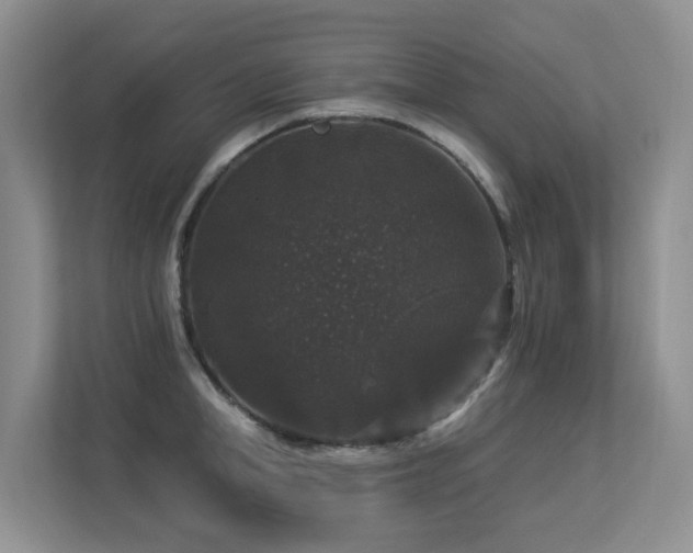 X0000113270998200909101515