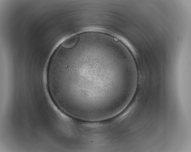 X0000113270999200909101515