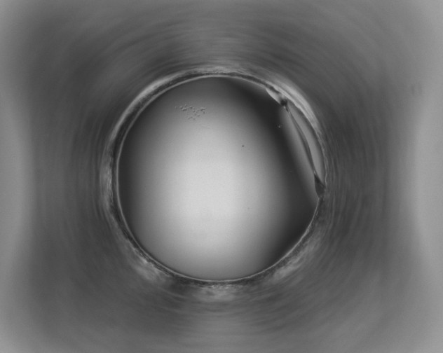 X0000113271000200909101515