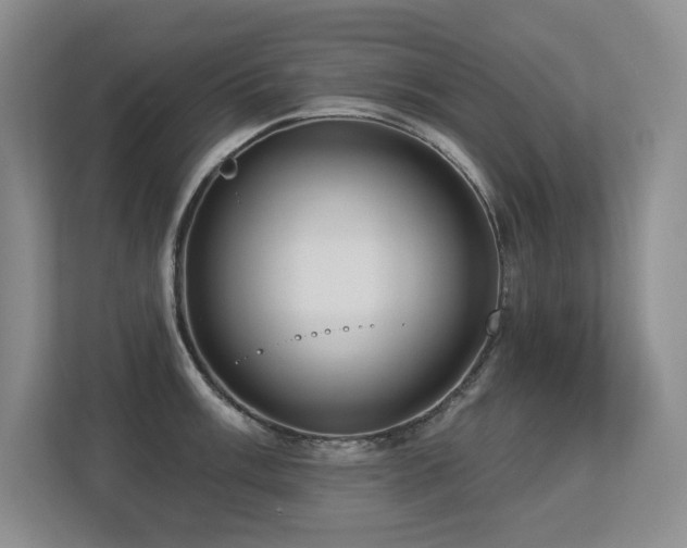X0000113271003200909101515