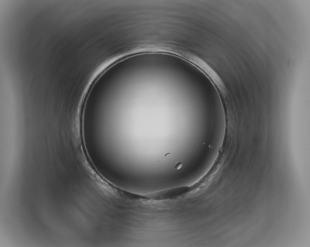 X0000113271004200909101515