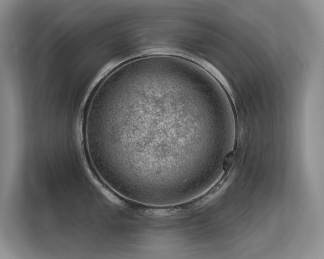 X0000113271005200909101515