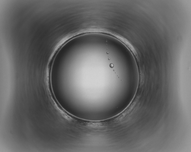 X0000113271006200909101515