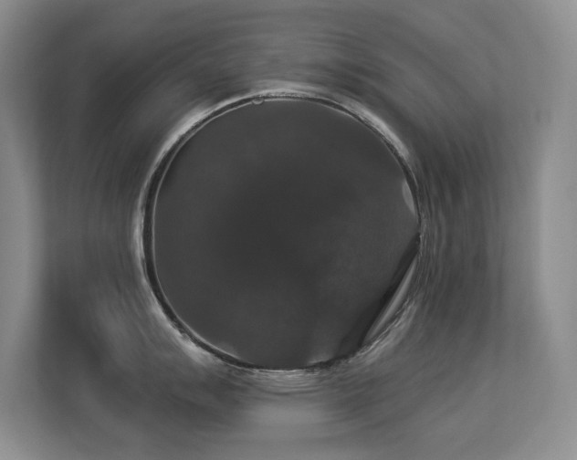 X0000113271007200909101515