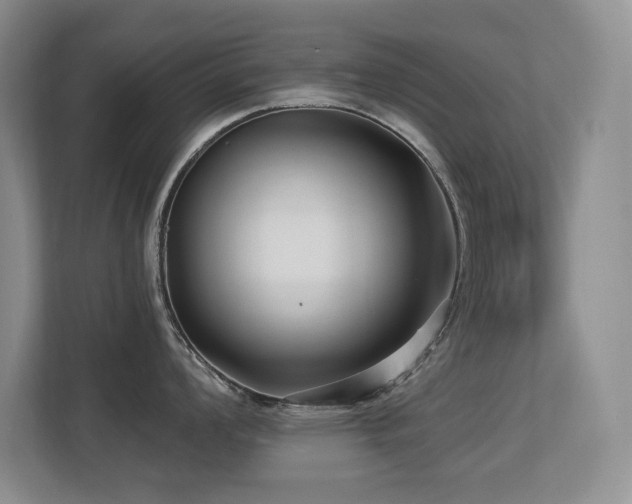 X0000113271008200909101515