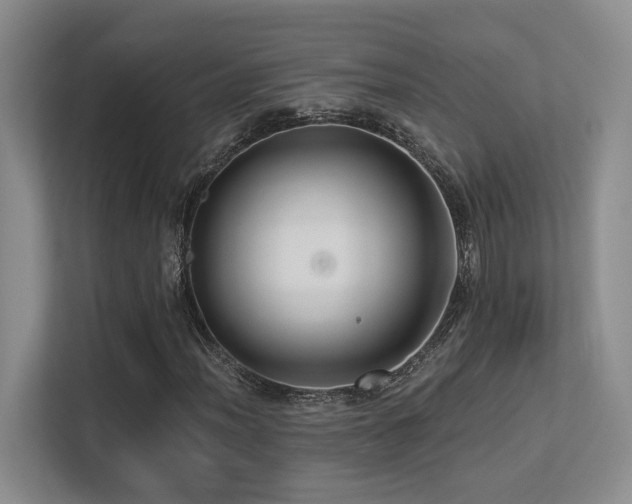 X0000113271012200909101515