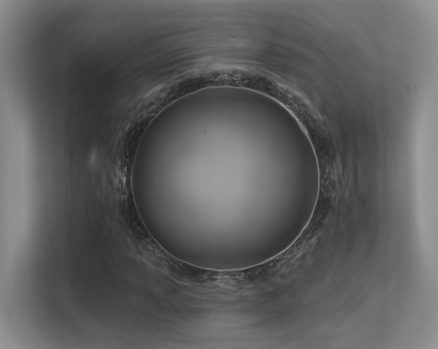 X0000113271013200909101515