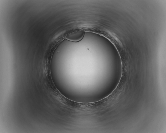 X0000113271015200909101515
