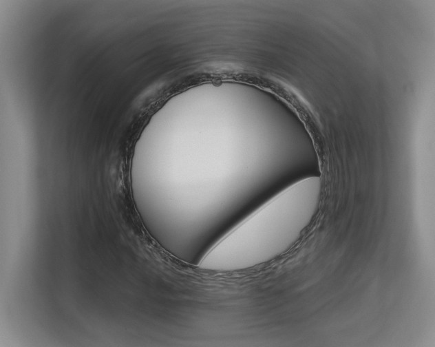 X0000113271016200909101515
