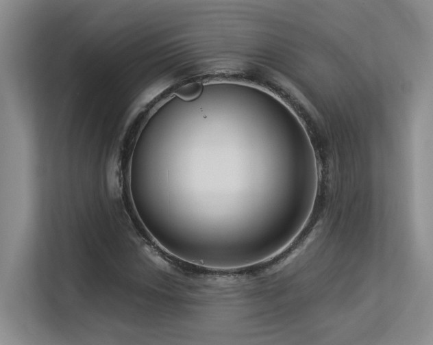 X0000113271018200909101515