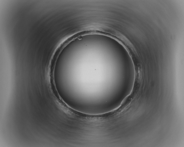 X0000113271020200909101515