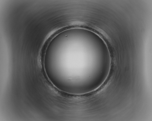 X0000113271022200909101515