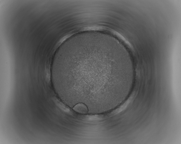X0000113271025200909101515