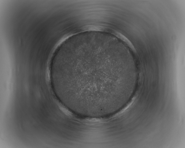 X0000113271027200909101515