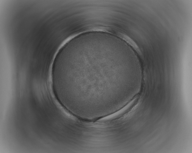 X0000113271028200909101515