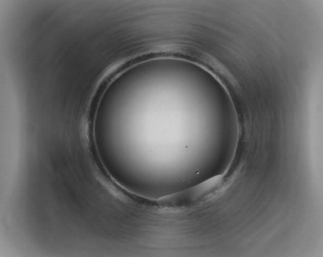 X0000113271029200909101515