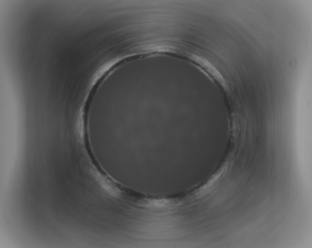 X0000113271031200909101515
