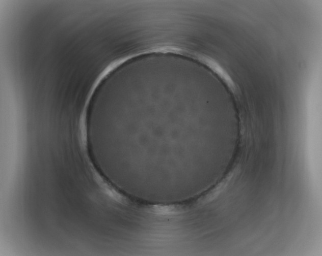 X0000113271032200909101515