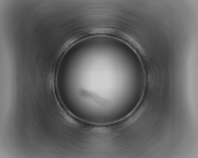 X0000113271033200909101515