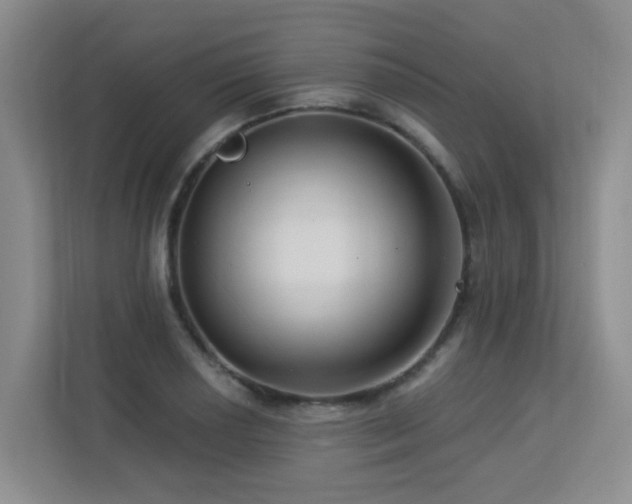 X0000113271034200909101515