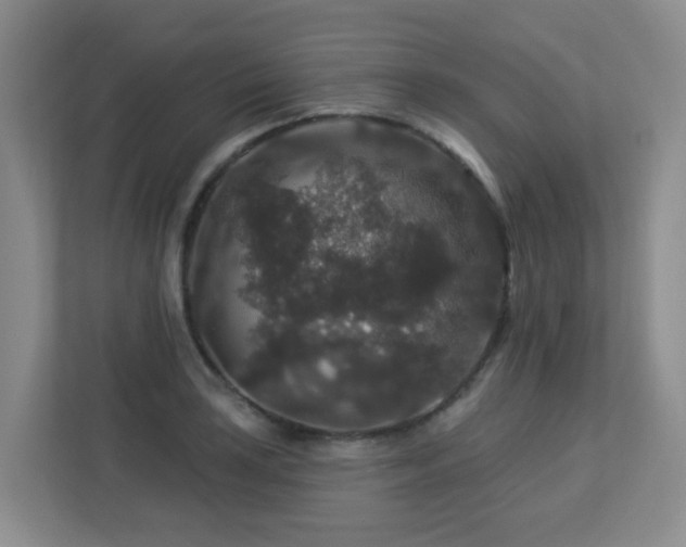 X0000113271035200909101515