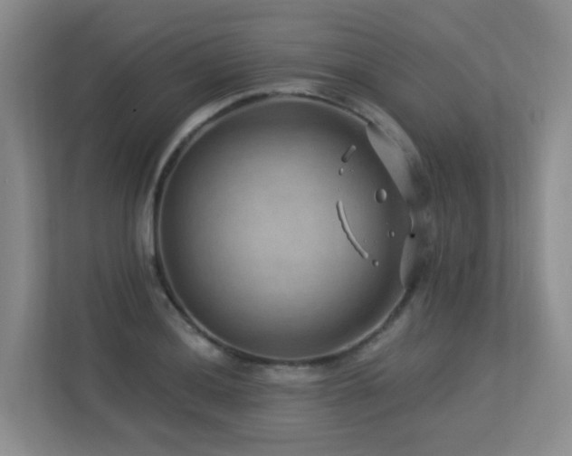 X0000113271036200909101515