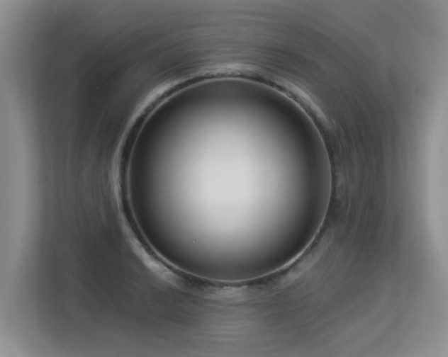 X0000113271038200909101515