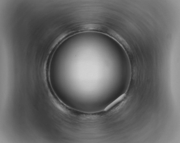 X0000113271039200909101515