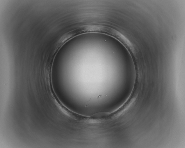 X0000113271041200909101515