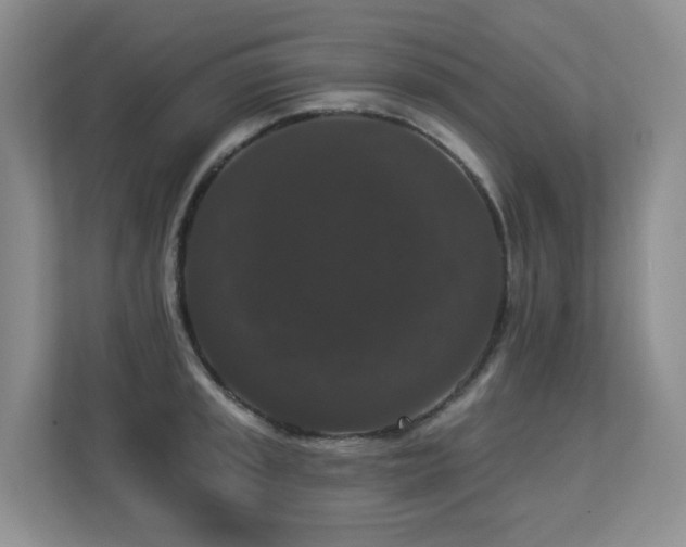 X0000113271045200909101515