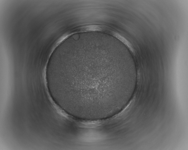 X0000113271047200909101515