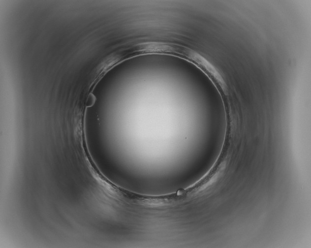X0000113271049200909101515