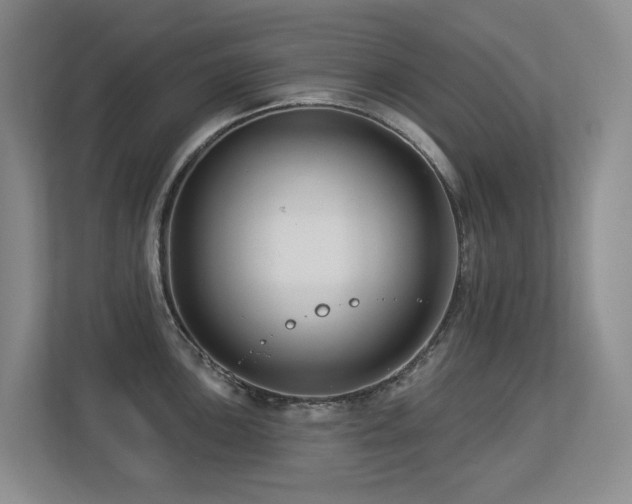 X0000113271051200909101515