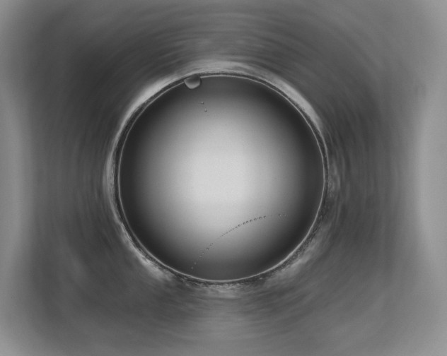 X0000113271053200909101515