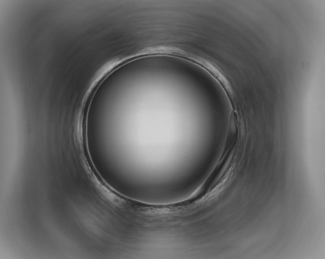 X0000113271054200909101515
