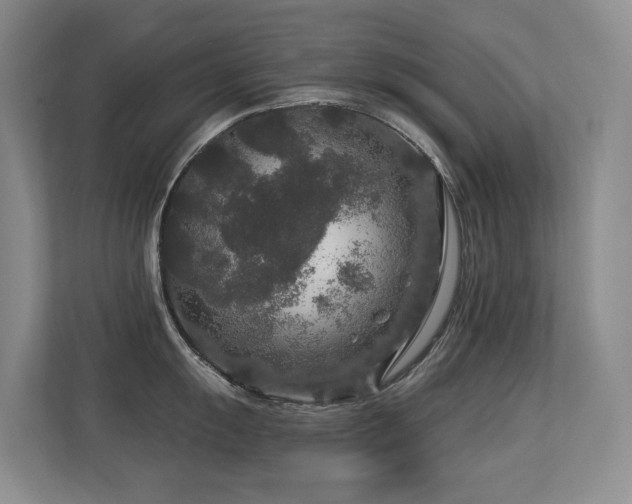 X0000113271055200909101515
