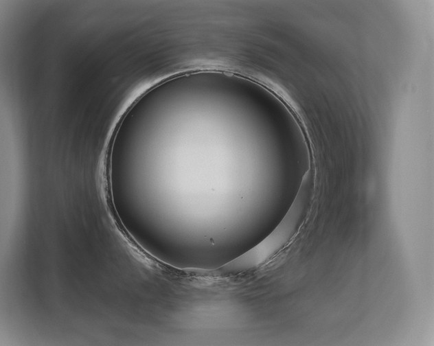 X0000113271056200909101515