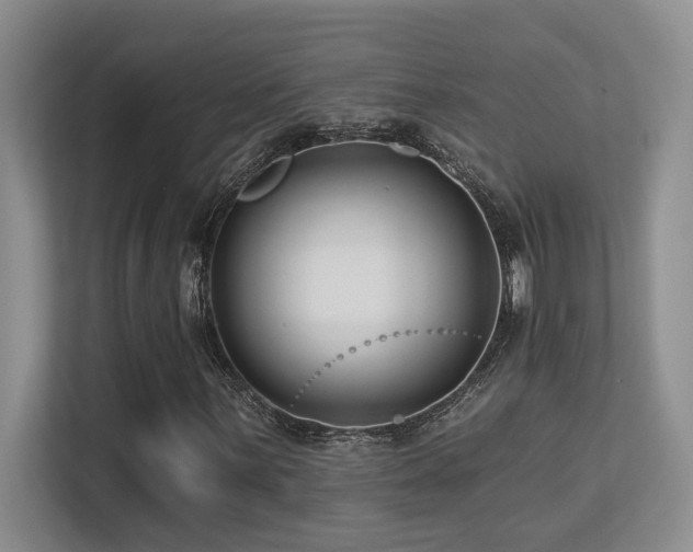 X0000113271059200909101514