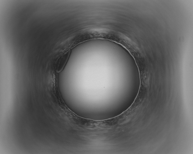 X0000113271061200909101514