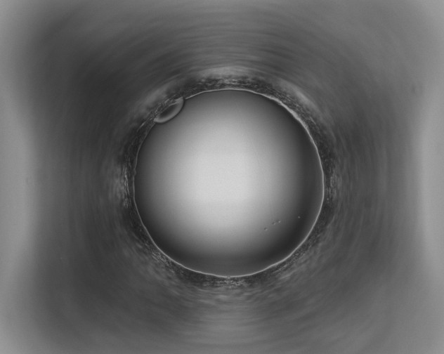 X0000113271062200909101514