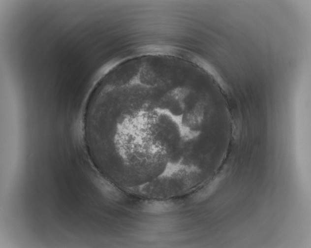 X0000113271074200909101514